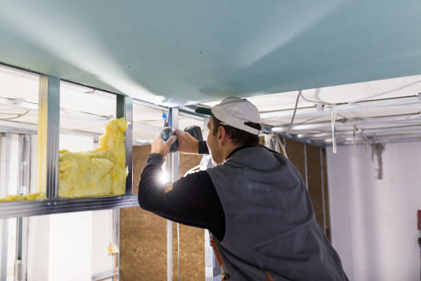 Types of Insulation We Offer in CA